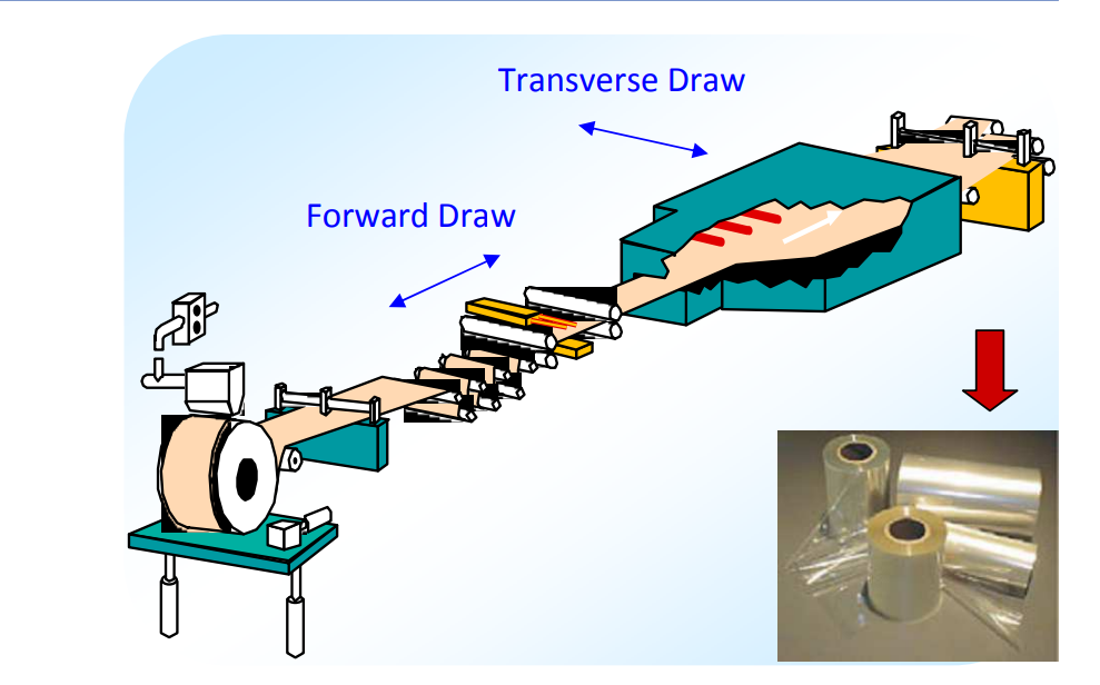 ¿Cómo funciona la película para mascotas DTF?