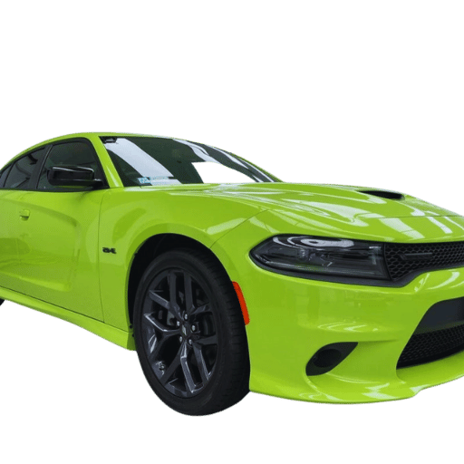 Professional Installation of Paint Protection Film